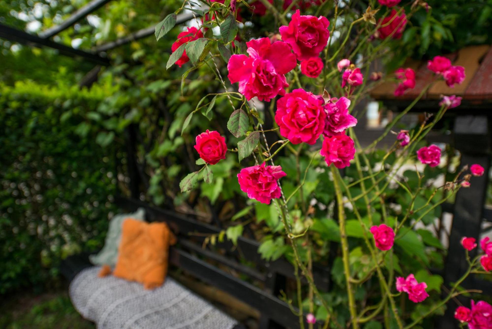 チャテジ・オプ・サヴィ Boho House 1 Camp Terme Catez With Promotional Tickets Pricesヴィラ エクステリア 写真